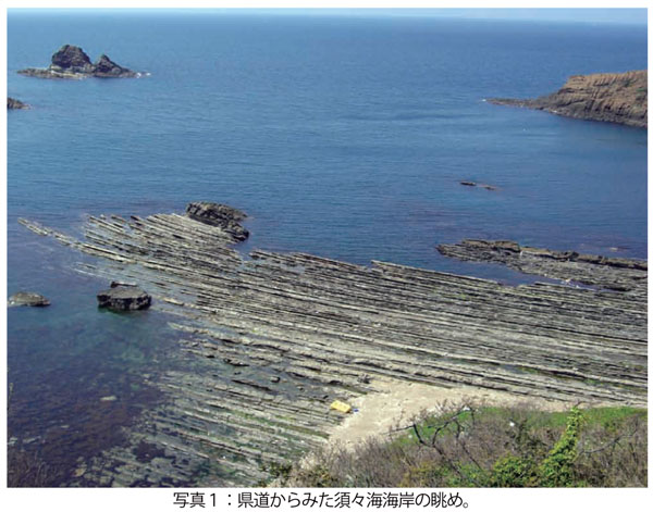 写真1