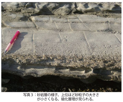 写真3