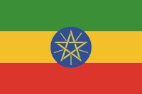 flag_pic